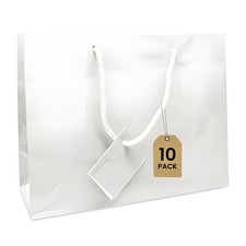 Novel Box 10 Count Glossy Paper Gift Bags with Rope Handles Assorted Colors