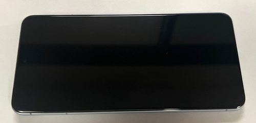 Google Pixel 8 Pro - 128GB - Bay Blue - Sbloccato in fabbrica - Problema schermo - Foto 3 di 5