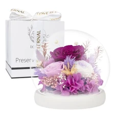 Preserved Flowers - Fresh Flowers Gifts for Women - Birthday Flowers for Deli...