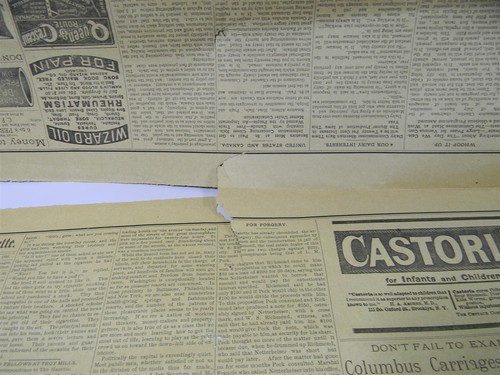 June 20 1889 The Cedar Rapids Weekly Gazette Newspaper - 8K - Picture 7 of 12