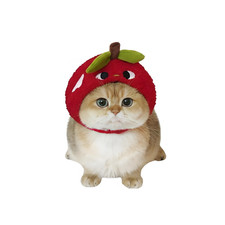 Pet Costume, Cute Blooming Flower Headgear, Party Accessory