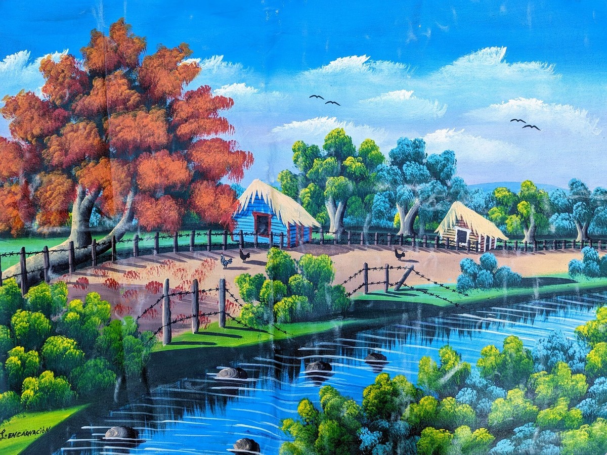 Dominican Countryside Painting | Pintura de framboyan en el campo