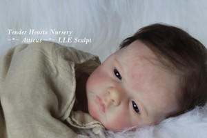 reborn atticus laura lee eagles