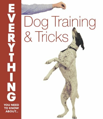 Dog Training and Tricks (Everything You by Bielakiewicz, Gerily  Paperback