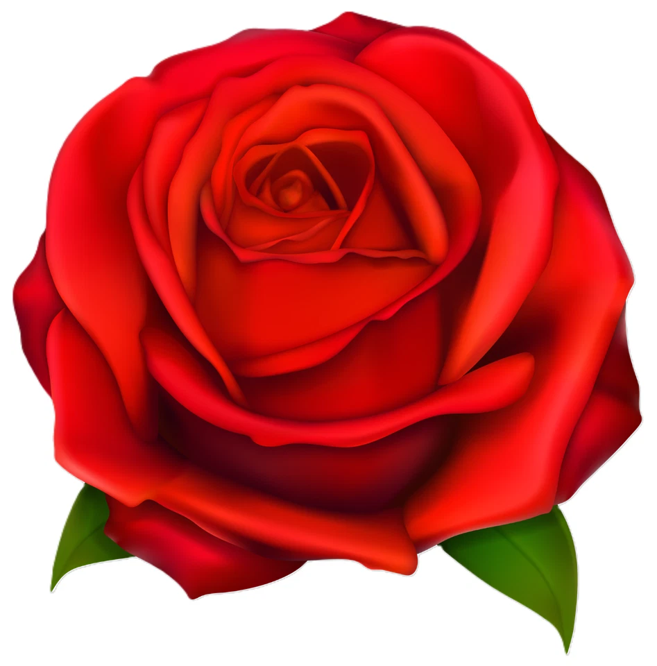 Red rose sticker flower skate cell laptop bumper vinyl decal