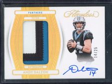2024-25 Flawless Andy Dalton RPA 14/25 #PA-ADN