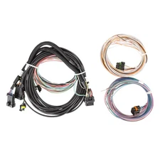 Holley EFI 558-457 Holley Standalone Pro Dash Service Harness