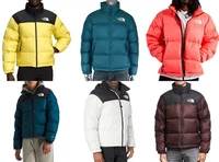 Men's The North Face 1996 Retro Nuptse 700 Down Puffer Jacket New