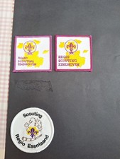 Scout Badges NETHERLANDS REGIONS X 8