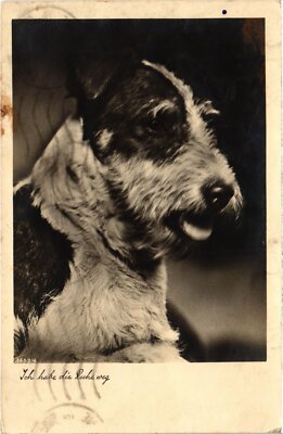 CPA AK Cute Dog DOGS (1387704)