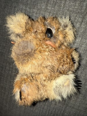 Blue Gum Baby Koala Bear Genuine Fur Plush Made in Australia 6.5'' Vintage