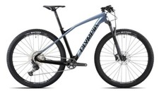 BICI BICICLETTA 29 OLYMPIA IRON PRO 12S CARBON