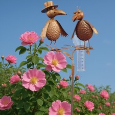 Regenmesser Gartenstecker Wetterstation Niederschlagsmesser Vogel Deko Rabenpaar
