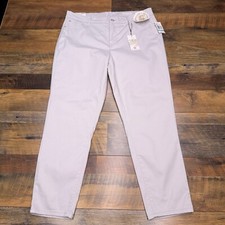 Curve Appeal Minimalist Jegging Pants 16 33 Gray Lunar Rock Stretch New