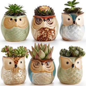 6pk 2 5 owl plant flower pot decorative kitchen herb garden planter