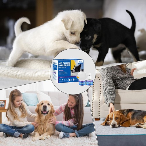 Beruhigungshund -Pheromon -Diffusor -Linderung von Spannungsdiffusor Plug - Bild 2 von 15