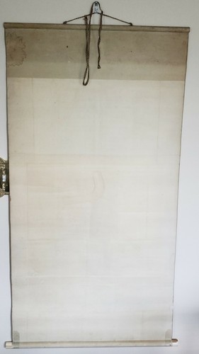 ROTOLO DI SETA CINESE FIRMATO 19C E SIGILLATO IN ROSSO PIANTA IN VASO & OSSO DI FARFALLA BOVINO - Foto 8 di 10