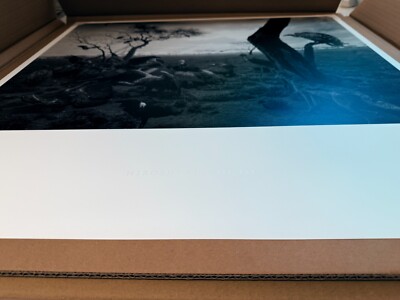Hiroshi Sugimoto Print 