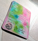 Pokemon: Roselia Card - OOAK ACEO Iridescent & Metallic Watercolor Art Card — photo 2