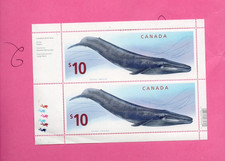 Kanada Blatt Blauwal große Breite Neu** MNH