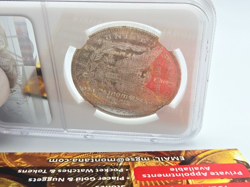 1884-O NGC MS63 PL Morgan Silver Dollar *Bright, Flashy, Beautiful Specimen* 006 - Picture 13 of 13