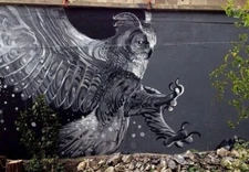 Art Postcard Street Art Ltd Edition of just 10 Print Shop Proof " Eagle Hawk " 