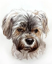 Custom Small Dog Portrait Painting Realism Original 20,3x25,4 cm Watercolor