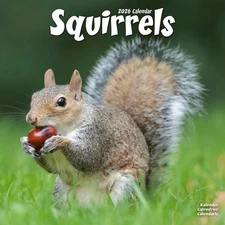 Squirrels 2026 Wall Calendar Avonside Plastic Free Pack 11.6" x 23.2"