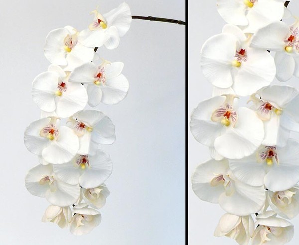 KüNstliche Orchidee „Real Touch“ Mit 11 WeißEn BlüTen, LäNge 102Cm Von Ibizanos-image
