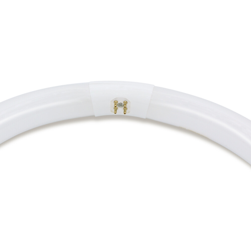 REPLACEMENT BULB FOR RIALTO 7081RP 22W eBay