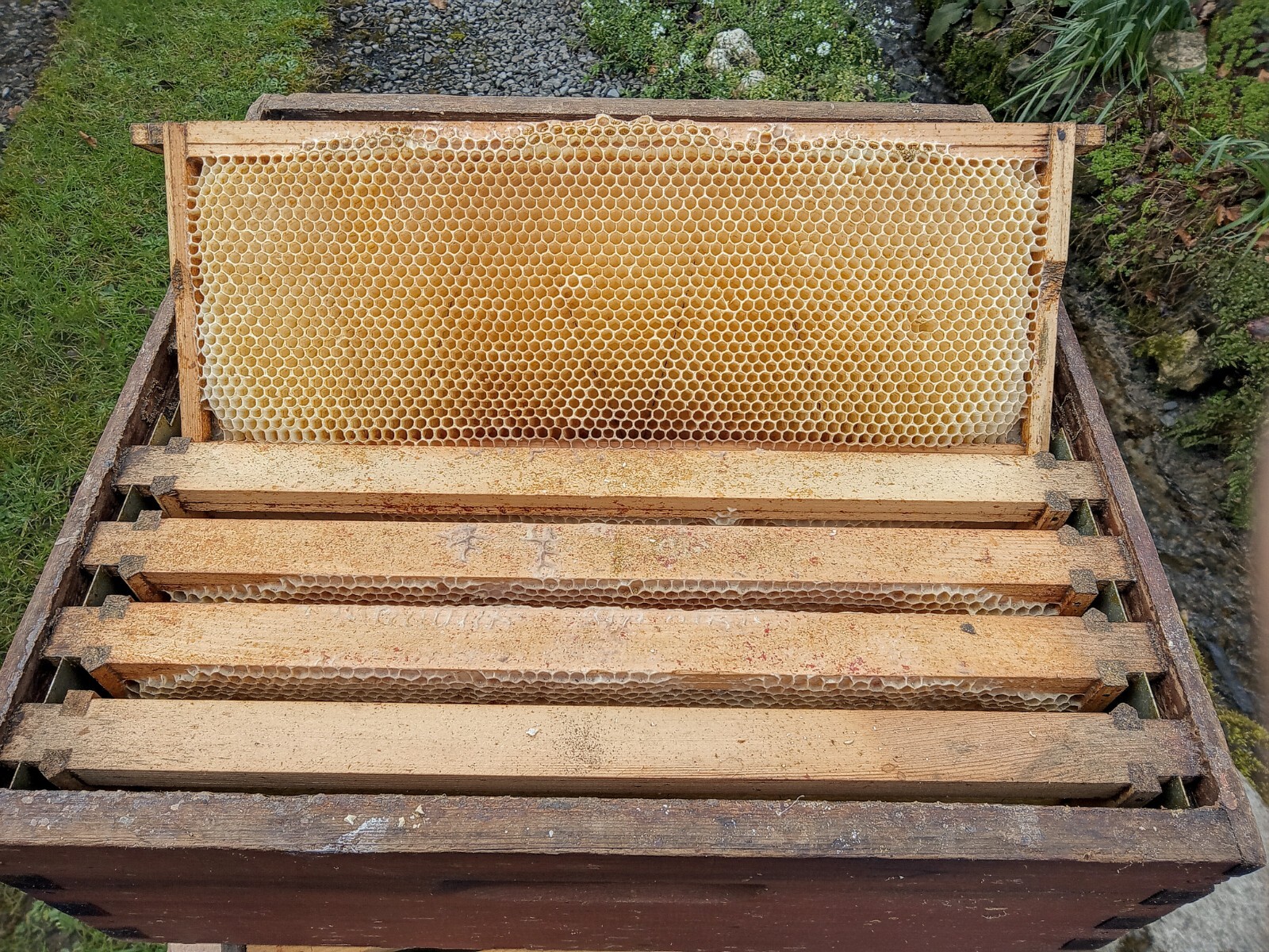 Commercial bee hive supers with frames used eBay