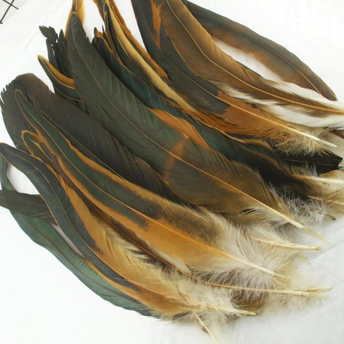 100Pcs 12-14Inch/30-35cm dyeing Cock Chicken Tail natural Feathers DIY Crafts - Imagen 8 de 20