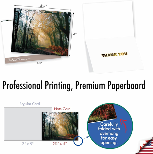 The Best Card 10 Assorted Thank You Notecards Boxed Set 4 X 5.12 Inch with Enve - Picture 6 of 7