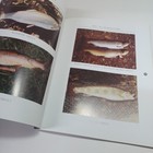 Bild 19 von 20