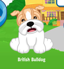 Webkinz British Bulldog Virtual Adoption Code Only Messaged Webkinz Bulldog Pup