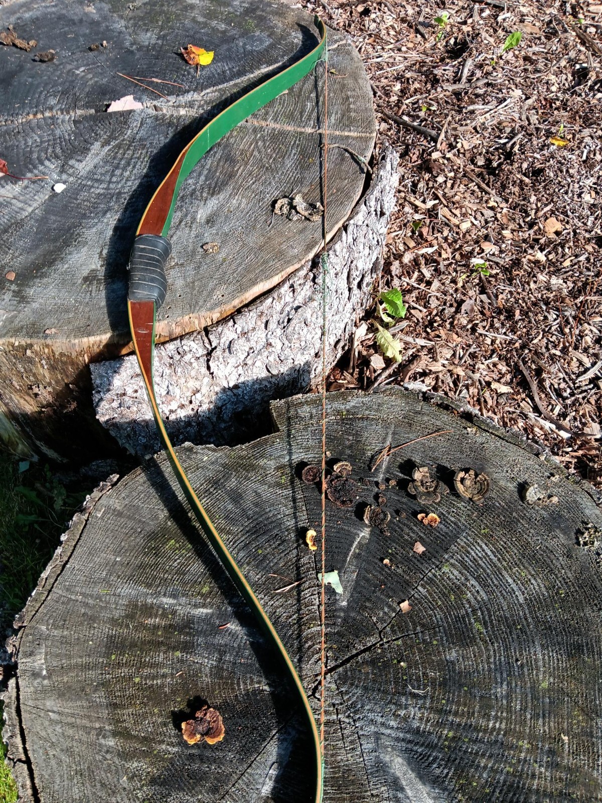 Vintage rare Shakespeare Archery ShimBo recurve 45 RH\LH eBay