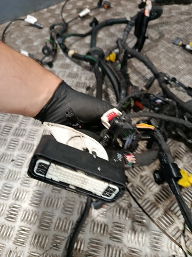 Berlingo Partner Combo E 2018-On Fuse Box Harness Main Body Wiring 1637754780 - Picture 17 of 19