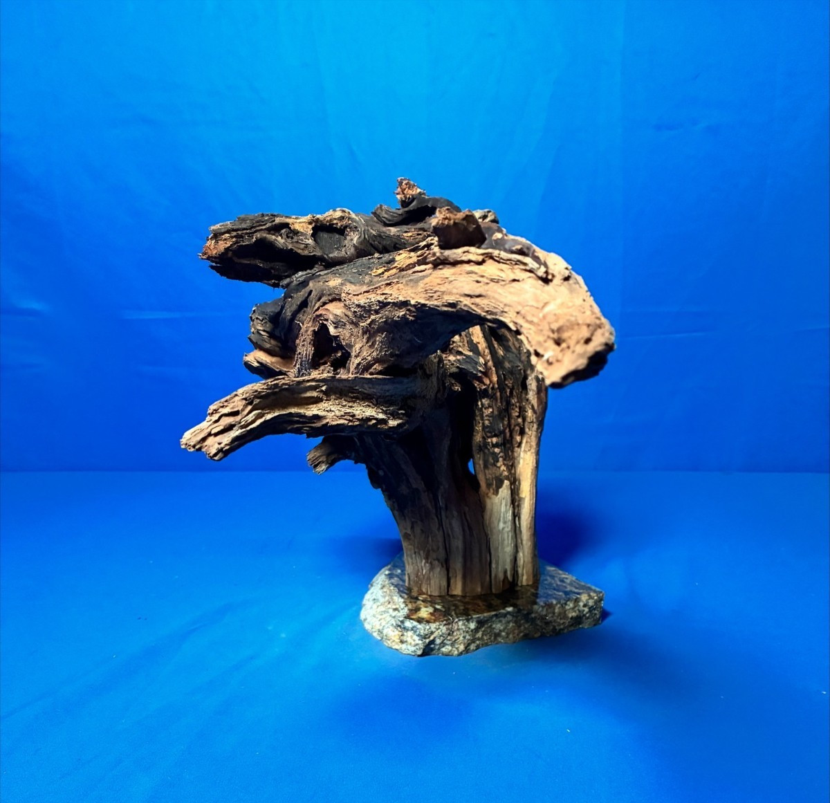 Aquarium Fish Tank Terrarium Aquascape  Manzanita Root Granite Base