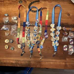 eBay Live 2003 2004 2006 2007 2008 Lanyard Pins Las Vegas Boston Lot Of 49