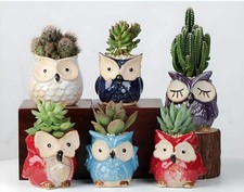 Owl Succulent Ceramic Plant Pots WITH Bamboo Coaster Quirky Indoor Home Decor UK