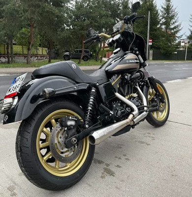 Auspuff Harley-Davidson Dyna Low Rider 1999-2006 Twincam 88 Komplettanlage Smoke