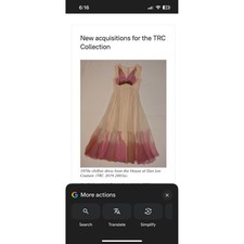 Vintage 70's Hand Painted Designer Dan Lee Dress Chiffon Evening Gown Romantic