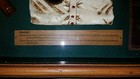 Picture 6 of 11
