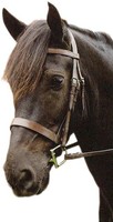 Sabre Eton Bridle Sabre Eton Bridle