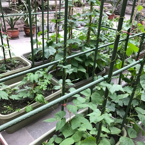 Set of 40 Hydroponics Garden Plant Stakes Support Sticks Canes Pole Grow Tools - Picture 3 of 16