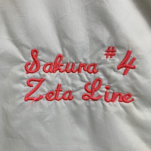 Giacca a vento Sorority vintage anni 90 adulto taglia small Sigma Lambda Gamma - Foto 3 di 23