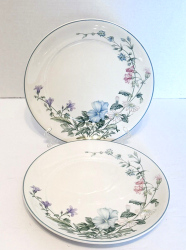 Keltcraft by Noritake Abbotswood Pattern Ireland 9190 Salad Plates Lot of Two - Picture 2 of 19