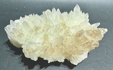 Bellissima Celestina  A Dente Di Cane E Gesso Della Muculufa