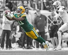 Green Bay Packers JAYDEN REED Glossy 8x10 Photo Spotlight Print Poster
