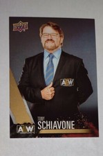 Tony Schiavone 2021 Upper Deck AEW #79 Gold Parallel 